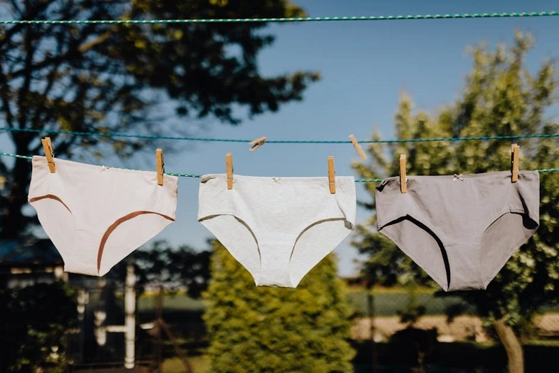 culotte de règle