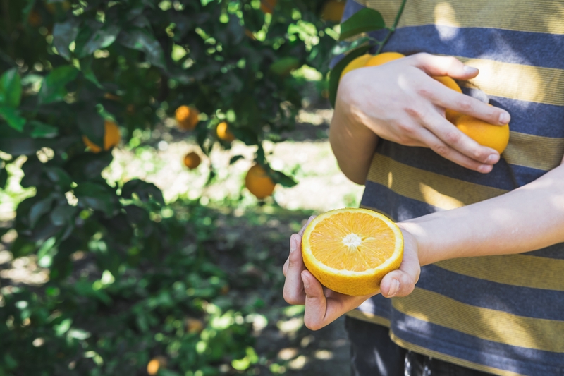 Alimentation anti-inflammatoire
